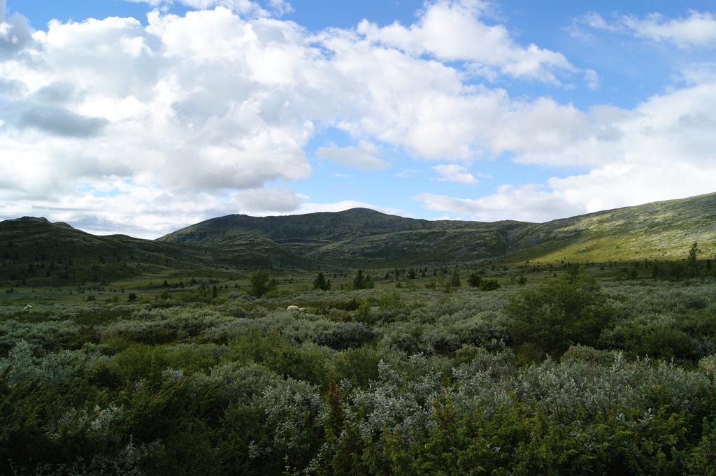 Sulseter Fjellstugu Vinstra Exterior foto