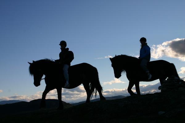 Sulseter Fjellstugu Vinstra Exterior foto