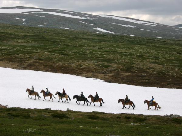 Sulseter Fjellstugu Vinstra Exterior foto